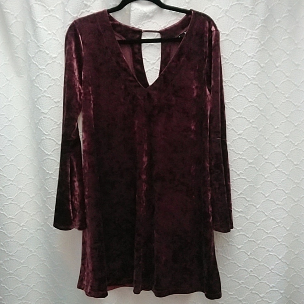Vintage Look Velour Dress